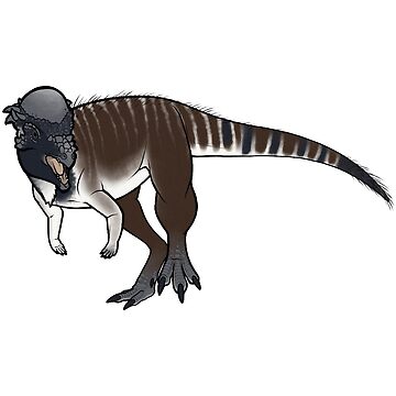 Pachycephalosaurus wyomingensis - All Things Dinosaurs