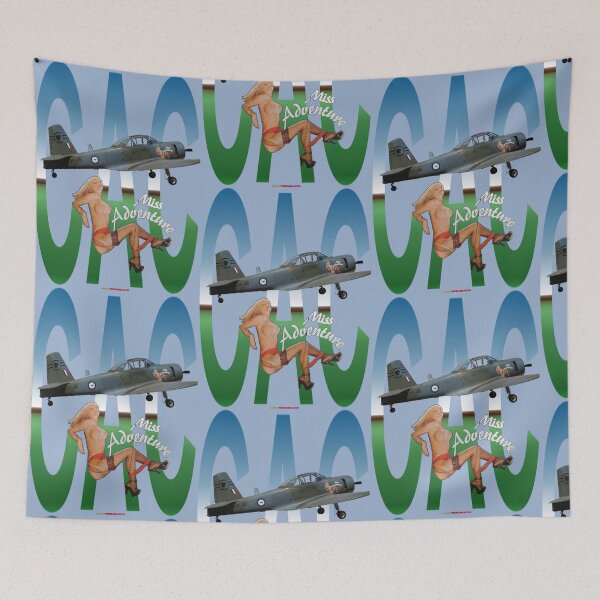 Item preview, Commonwealth Aircraft Corporation Design - Winjeel VH-NON A85-411 20111119  designed and sold by muz2142.