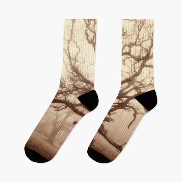 Item preview, Mighty Old Oak in fog by heidiannemorris © designed and sold by FOLK ART FUSION by heidiannemorris.