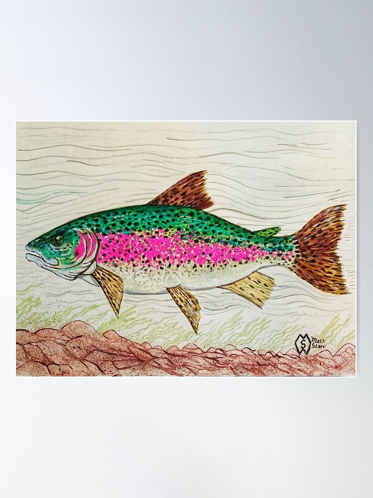 Rainbow Trout in the Stream | Poster