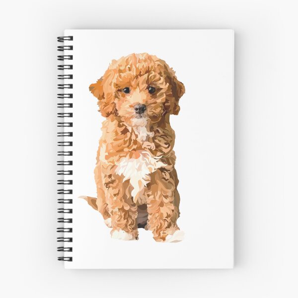 Item preview, cockapoo doodle designed and sold by Poohdlesdoodles.