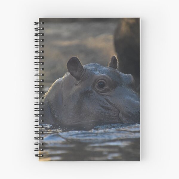 Item preview, Fritz The Baby Hippo designed and sold by Kim Pruim.