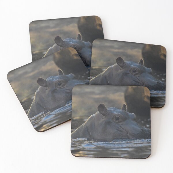 Item preview, Fritz The Baby Hippo designed and sold by Kim Pruim.