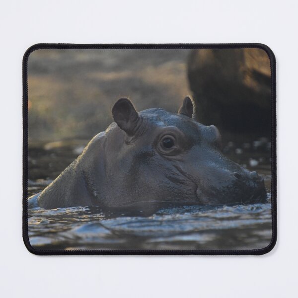 Item preview, Fritz The Baby Hippo designed and sold by Kim Pruim.
