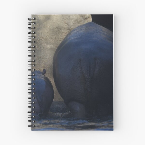 Item preview, Mother And Son Hippo Walking Out Of The Pool designed and sold by Kim Pruim.