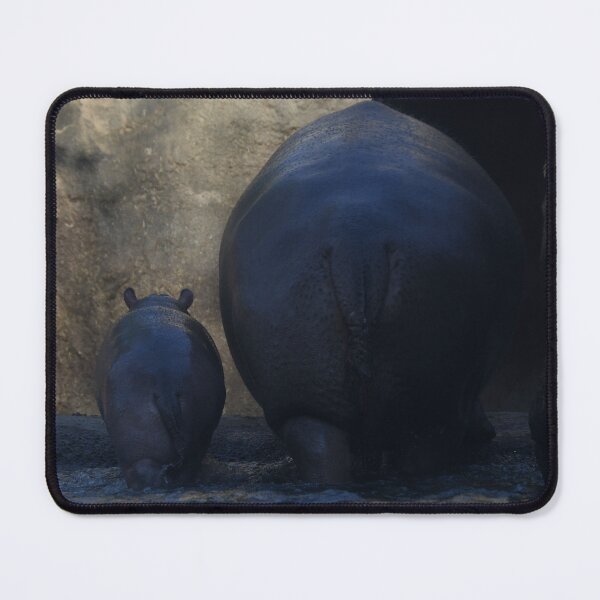 Item preview, Mother And Son Hippo Walking Out Of The Pool designed and sold by Kim Pruim.