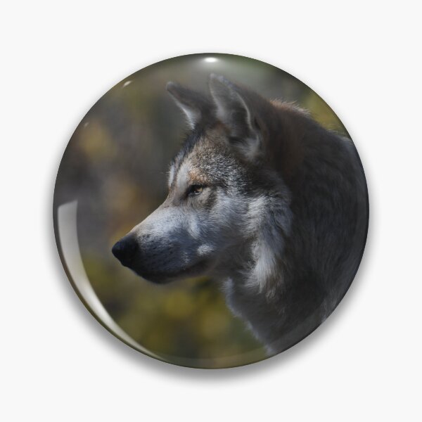 Item preview, Wolf With Fall Colors designed and sold by Kim Pruim.