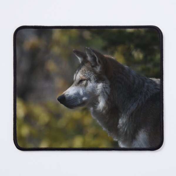 Item preview, Wolf With Fall Colors designed and sold by Kim Pruim.