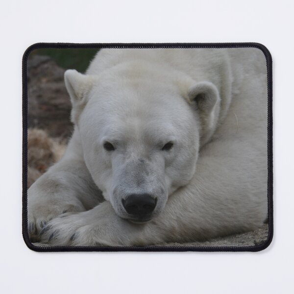Item preview, Taking It Easy designed and sold by Kim Pruim.