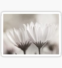 Softness Sticker