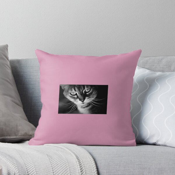 Item preview, Dramatic Black and White Cat designed and sold by SongBirdie.