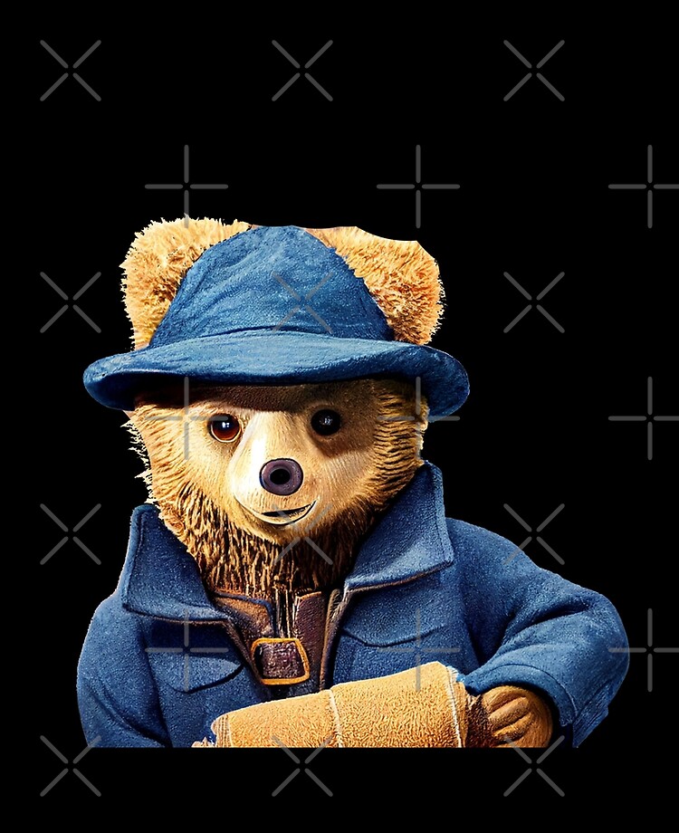 Paddington 2025 duffle coat