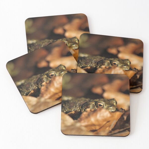 Item preview, Common toad designed and sold by Christian Moss.