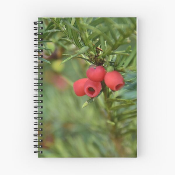 Artikelvorschau, Eibe Baum entworfen und verkauft von Jasminka.
