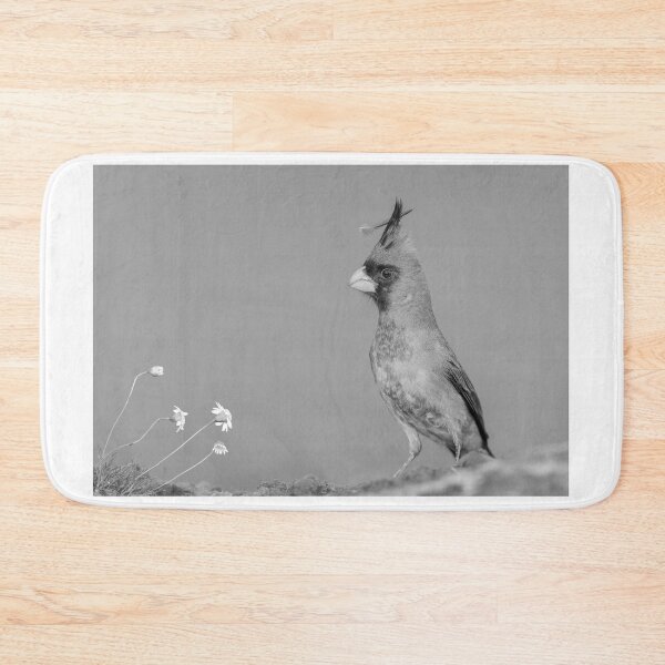 Item preview, Pyrrhuloxia with a special feather designed and sold by Puttaswamy Ravishankar.