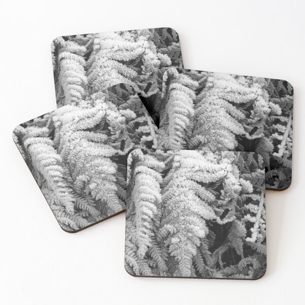 Item preview, Frosted Fern ( B&W ) designed and sold by wiggyofipswich.