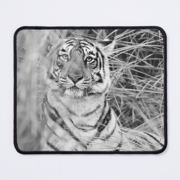Item preview, Mesmerizing Scrutiny designed and sold by Puttaswamy Ravishankar.