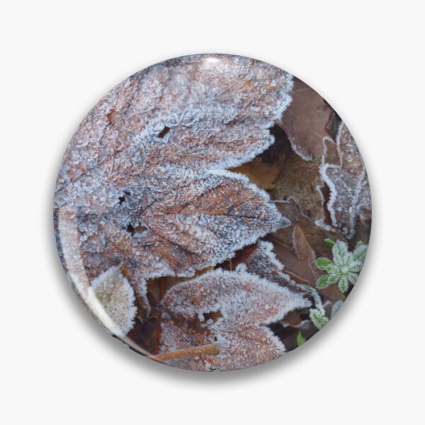Item preview, Frosted Sycamore and Oak Leaves designed and sold by wiggyofipswich.