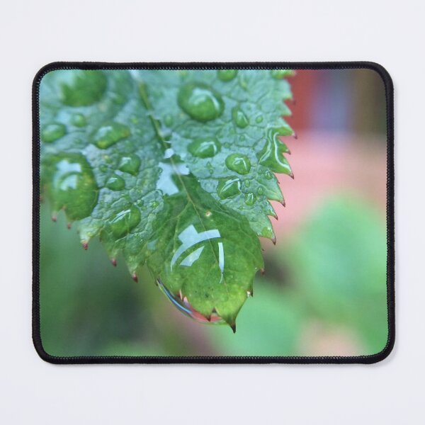 Item preview, Droplet designed and sold by SnappedbyRivka.