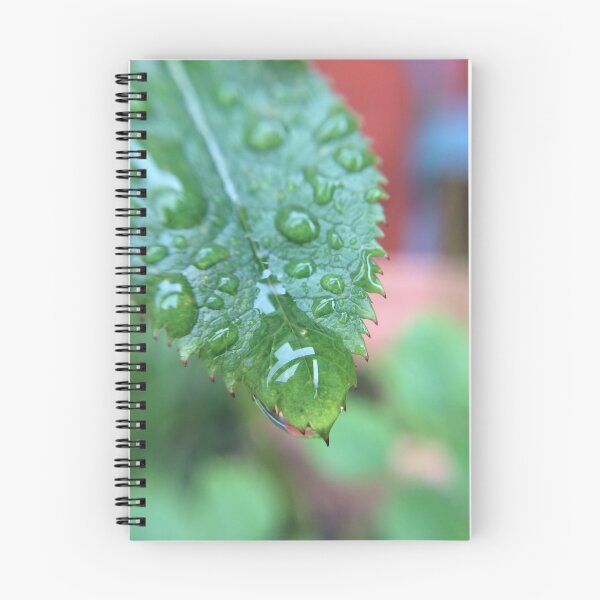 Item preview, Droplet designed and sold by SnappedbyRivka.