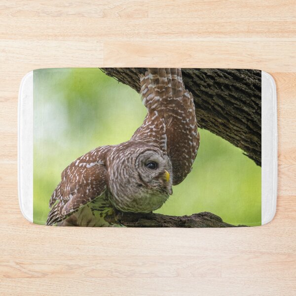 Item preview, Relaxing Male Barred Owl designed and sold by Puttaswamy Ravishankar.