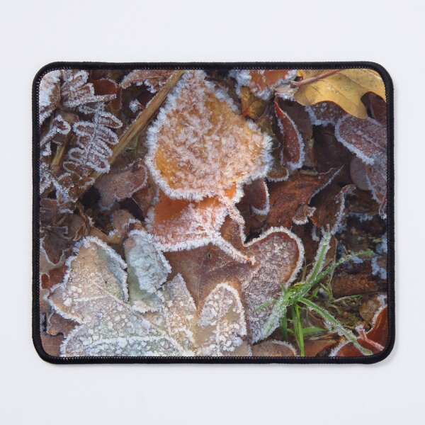 Item preview, Frosted Oak, Silver Birch & Fern Leaves designed and sold by wiggyofipswich.
