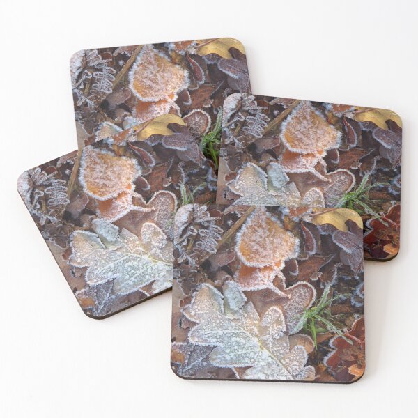 Item preview, Frosted Oak, Silver Birch & Fern Leaves designed and sold by wiggyofipswich.