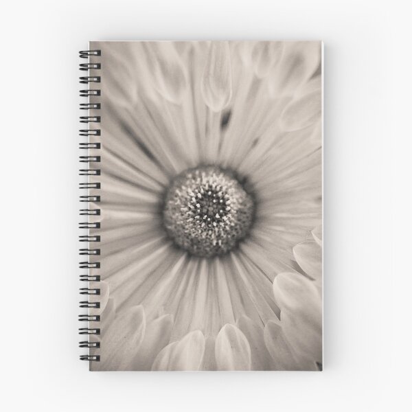 Item preview, A drizzly moment in the monochrome garden designed and sold by alan shapiro.