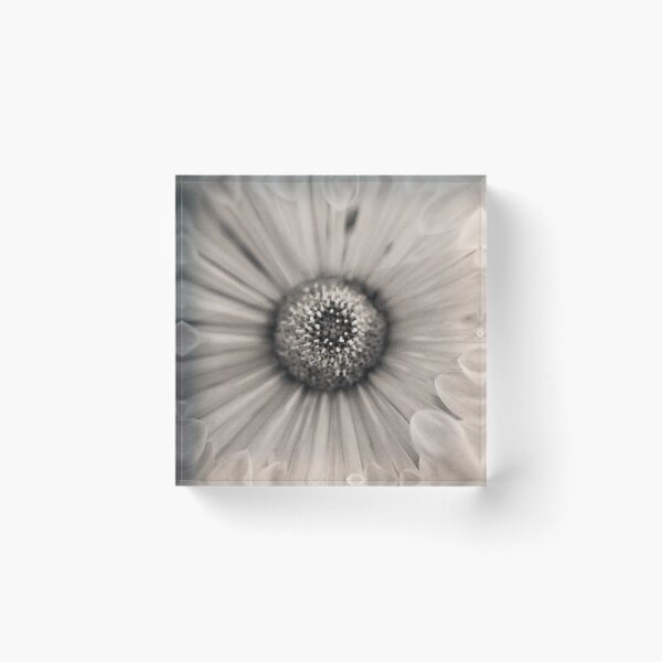 Item preview, A drizzly moment in the monochrome garden designed and sold by alan shapiro.