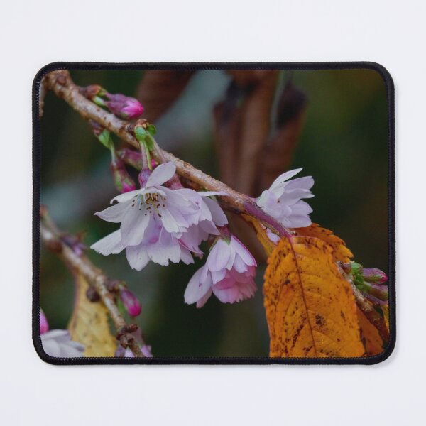 Item preview, Sweet little flowers at Nooroo Gardens designed and sold by Mrtweety.