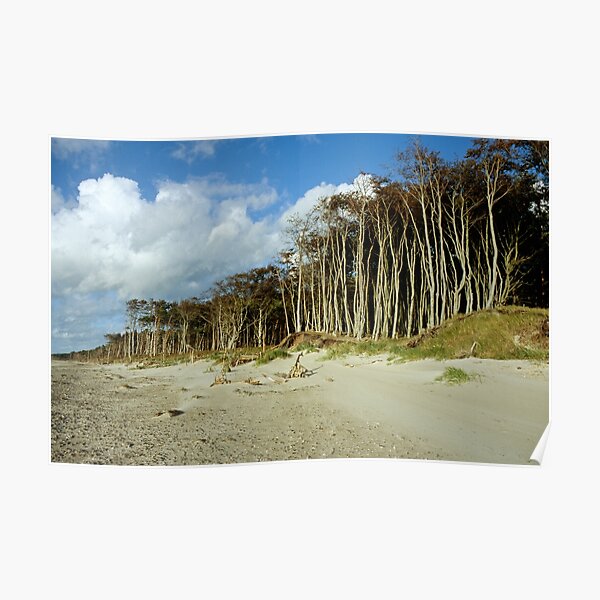 Dave Derbis Premium-Poster Ostsee Sommer 