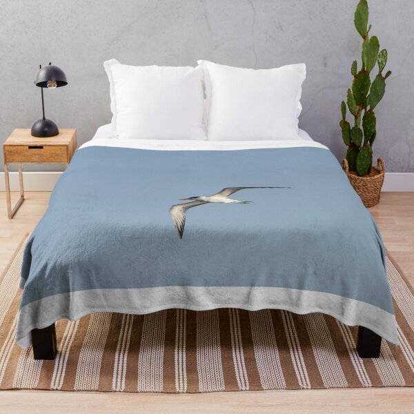 Item preview, Royal Tern designed and sold by Puttaswamy Ravishankar.