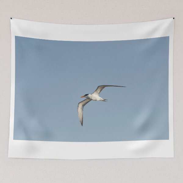 Item preview, Royal Tern designed and sold by Puttaswamy Ravishankar.
