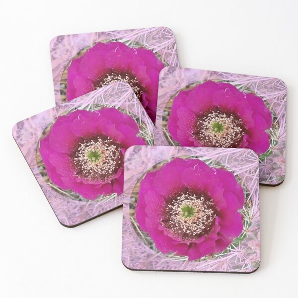 Item preview, Fuschia petal Cactus flower with pink pattern by Iritof designed and sold by iritof.