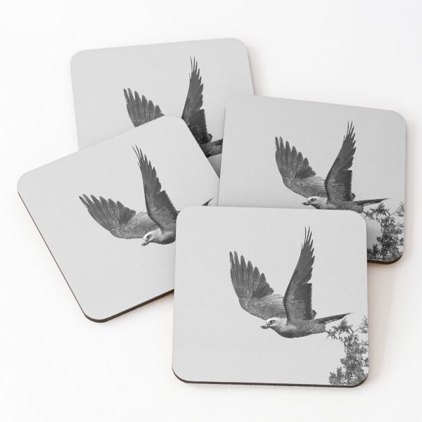 Item preview, Mississippi kite Carrying Cicada in its Beak designed and sold by Puttaswamy Ravishankar.