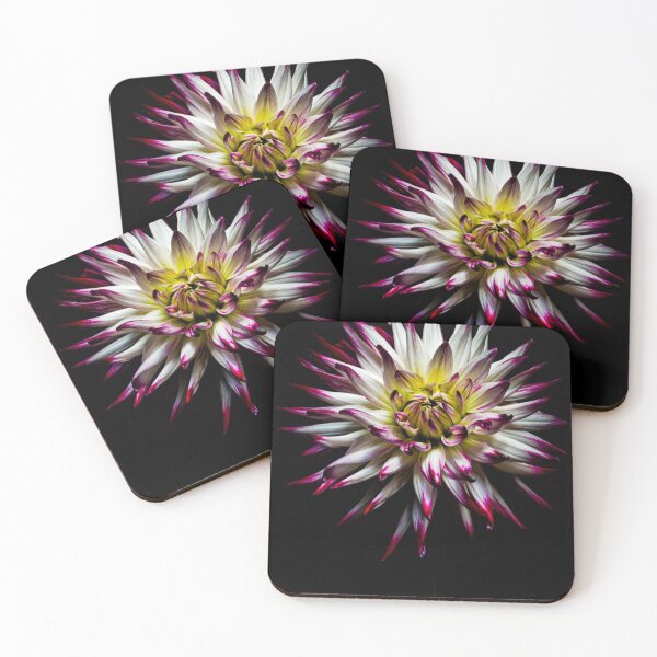 Item preview, Dahlia designed and sold by NiekTraas.
