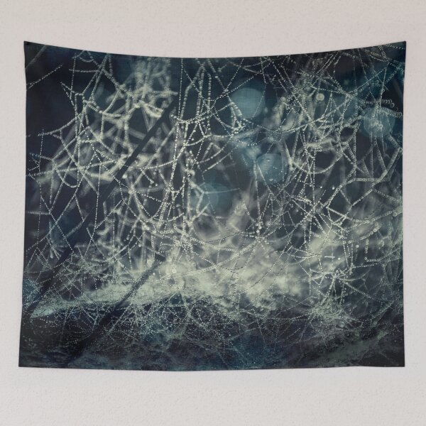 Item preview, wet spider web - collapse designed and sold by Dyrk Wyst Redbubble Shop.