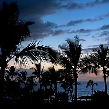 Artwork thumbnail, Maui by The Studio Red