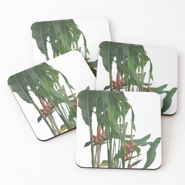 Item preview, Tropical Flowers Heliconia designed and sold by AmandaFineArt.