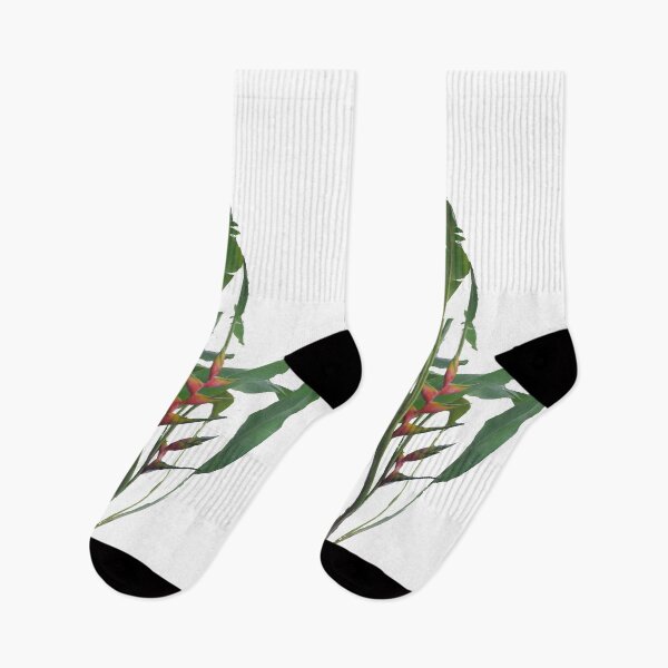 Item preview, Tropical Flowers Heliconia designed and sold by AmandaFineArt.