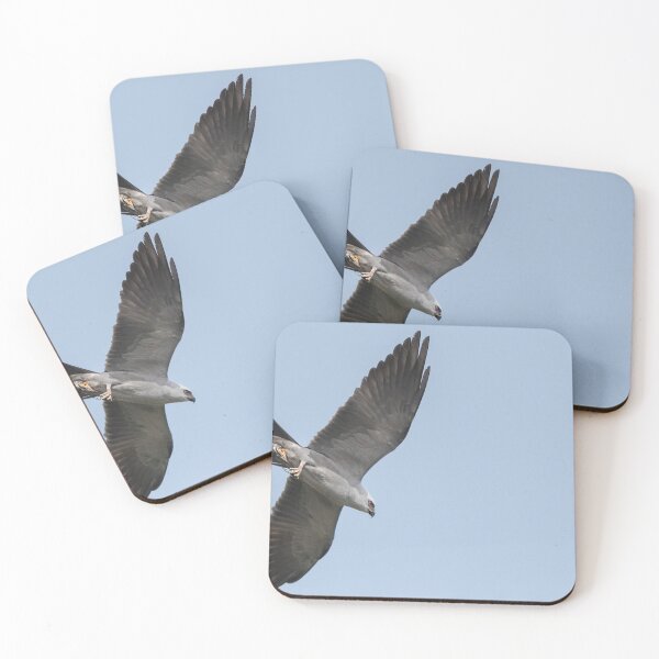 Item preview, Mississippi kite and Cicada designed and sold by Puttaswamy Ravishankar.
