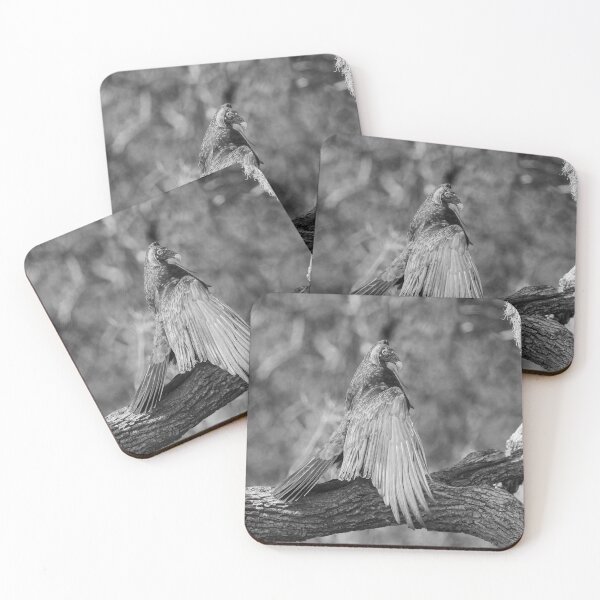 Item preview, Soaking Up the Golden Rays designed and sold by Puttaswamy Ravishankar.