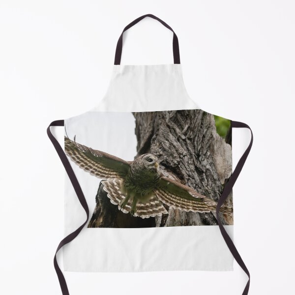 Item preview, Mama Barred Owl spreading its wings designed and sold by Puttaswamy Ravishankar.