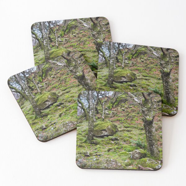 Item preview, Borrowdale Mossy Woodland designed and sold by Dave Hare Photography.