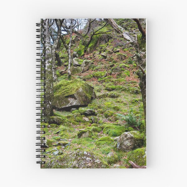 Item preview, Borrowdale Mossy Woodland designed and sold by Dave Hare Photography.