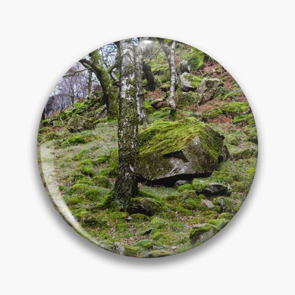 Item preview, Borrowdale Mossy Woodland designed and sold by Dave Hare Photography.