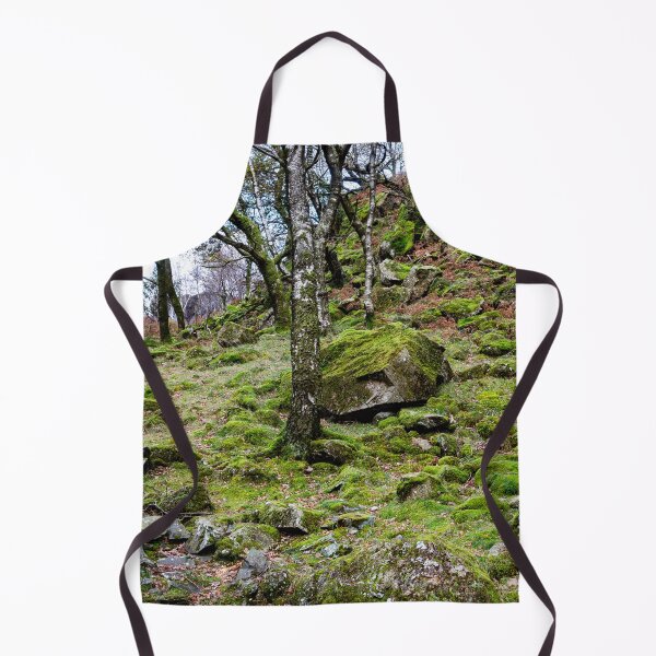 Item preview, Borrowdale Mossy Woodland designed and sold by Dave Hare Photography.