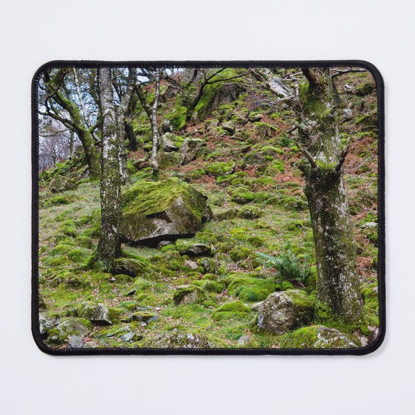 Item preview, Borrowdale Mossy Woodland designed and sold by Dave Hare Photography.