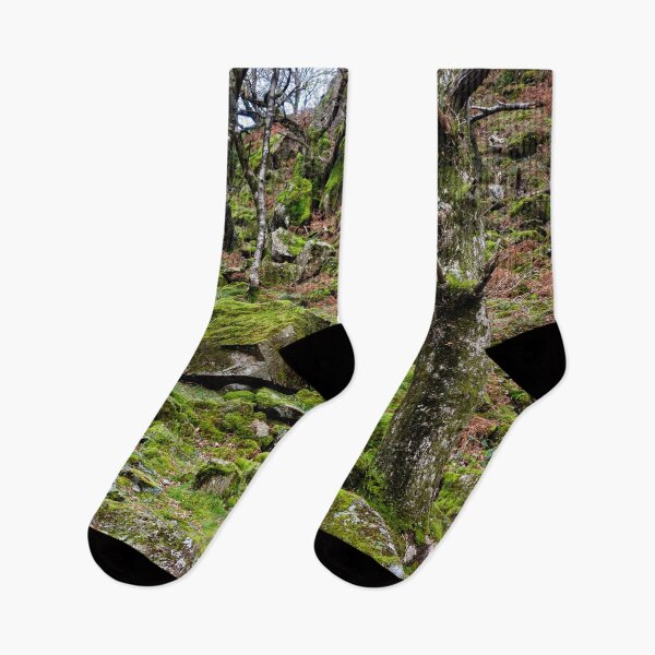 Item preview, Borrowdale Mossy Woodland designed and sold by Dave Hare Photography.
