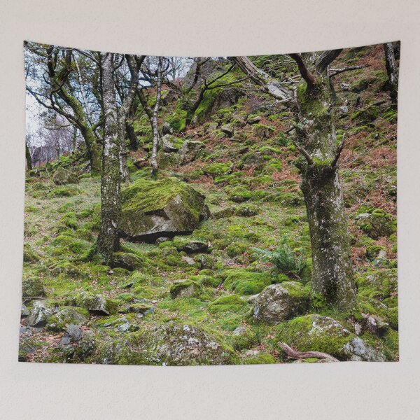 Item preview, Borrowdale Mossy Woodland designed and sold by Dave Hare Photography.